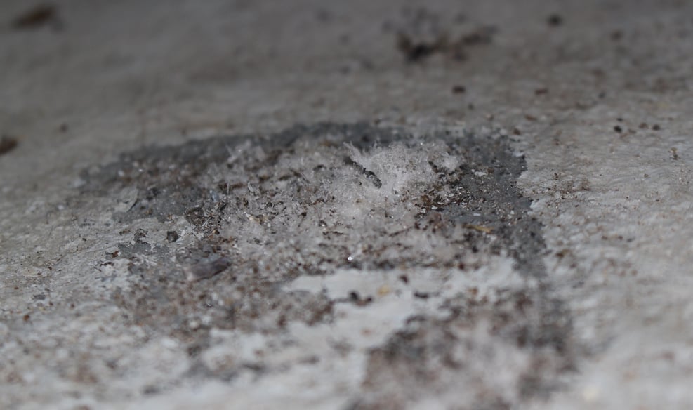 Technically Speaking How Does a Moisture Meter Work?